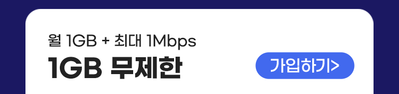 LTE 유심(1GB+/통화기본) 가입하기