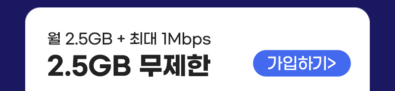 LTE 유심(2.5GB+/200분) 가입하기