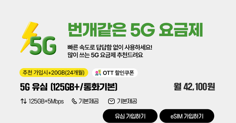 5G 유심(12GB+/통화기본)